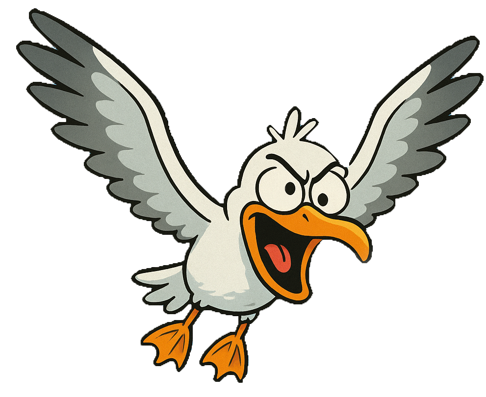 möwe