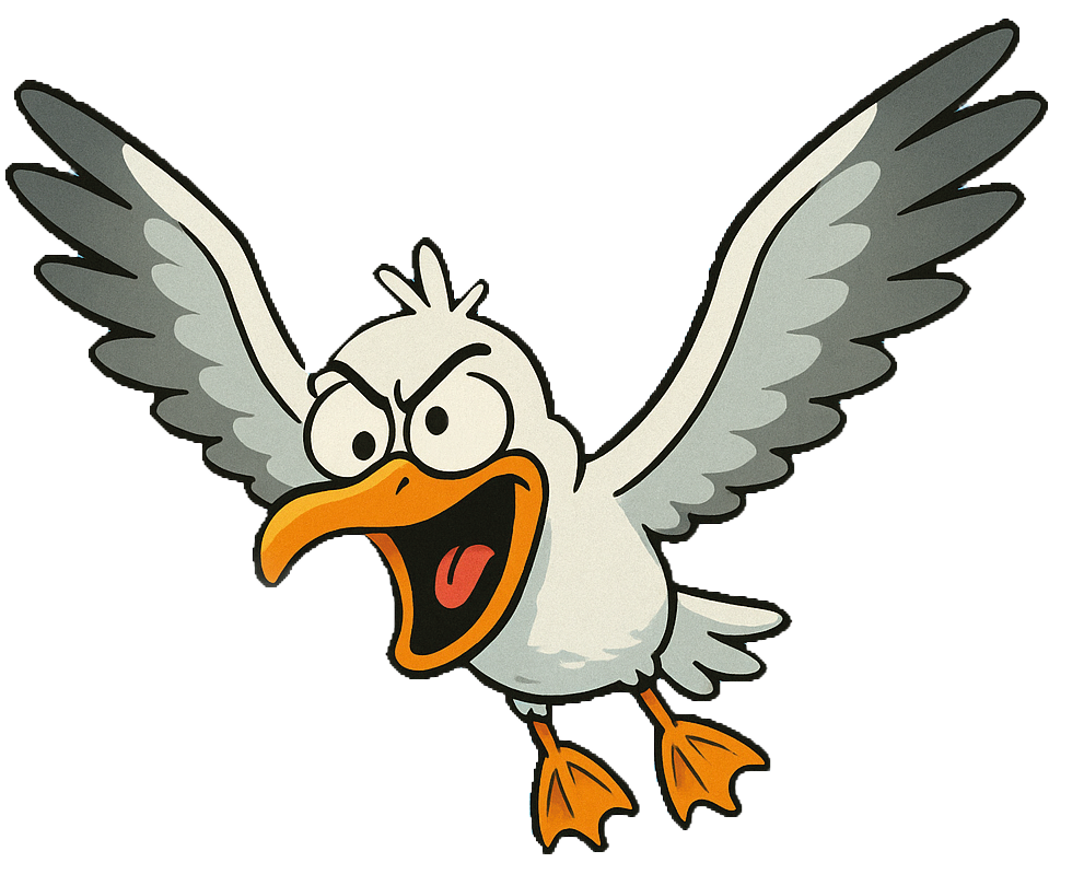 Möwe